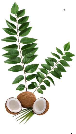 Coconut Cuisine